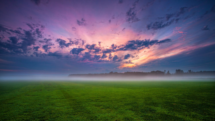 field, Grass, Fog, Trees, Germany HD Wallpaper Desktop Background