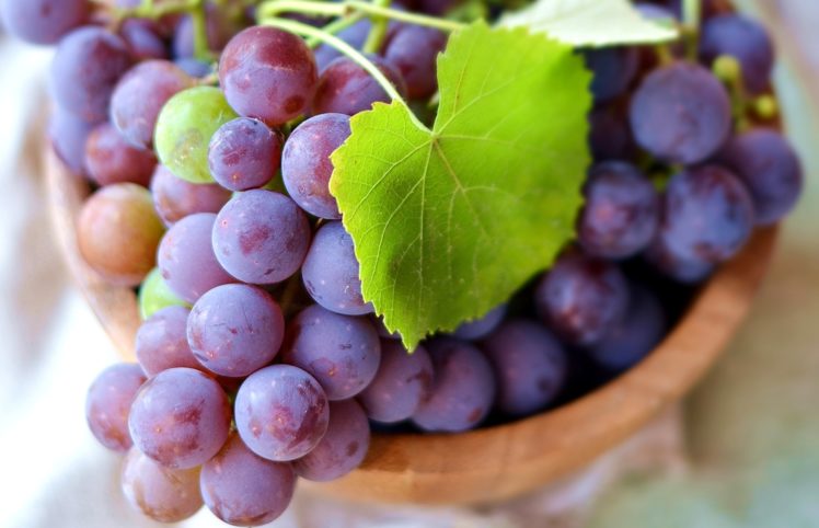 fruit, Grapes, Closeup, Foliage, Food HD Wallpaper Desktop Background