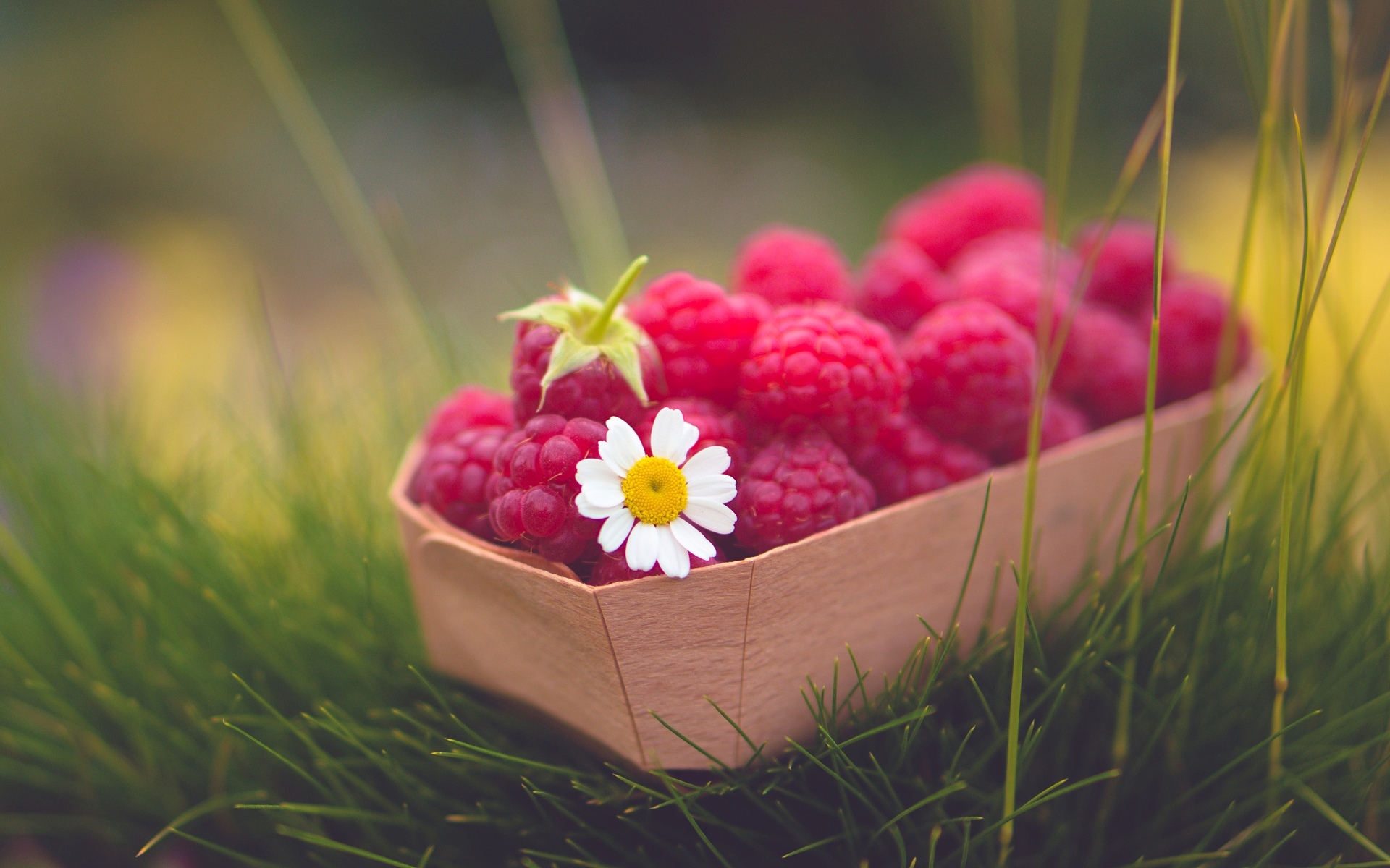fruit, Raspberry, Grass, Food Wallpaper