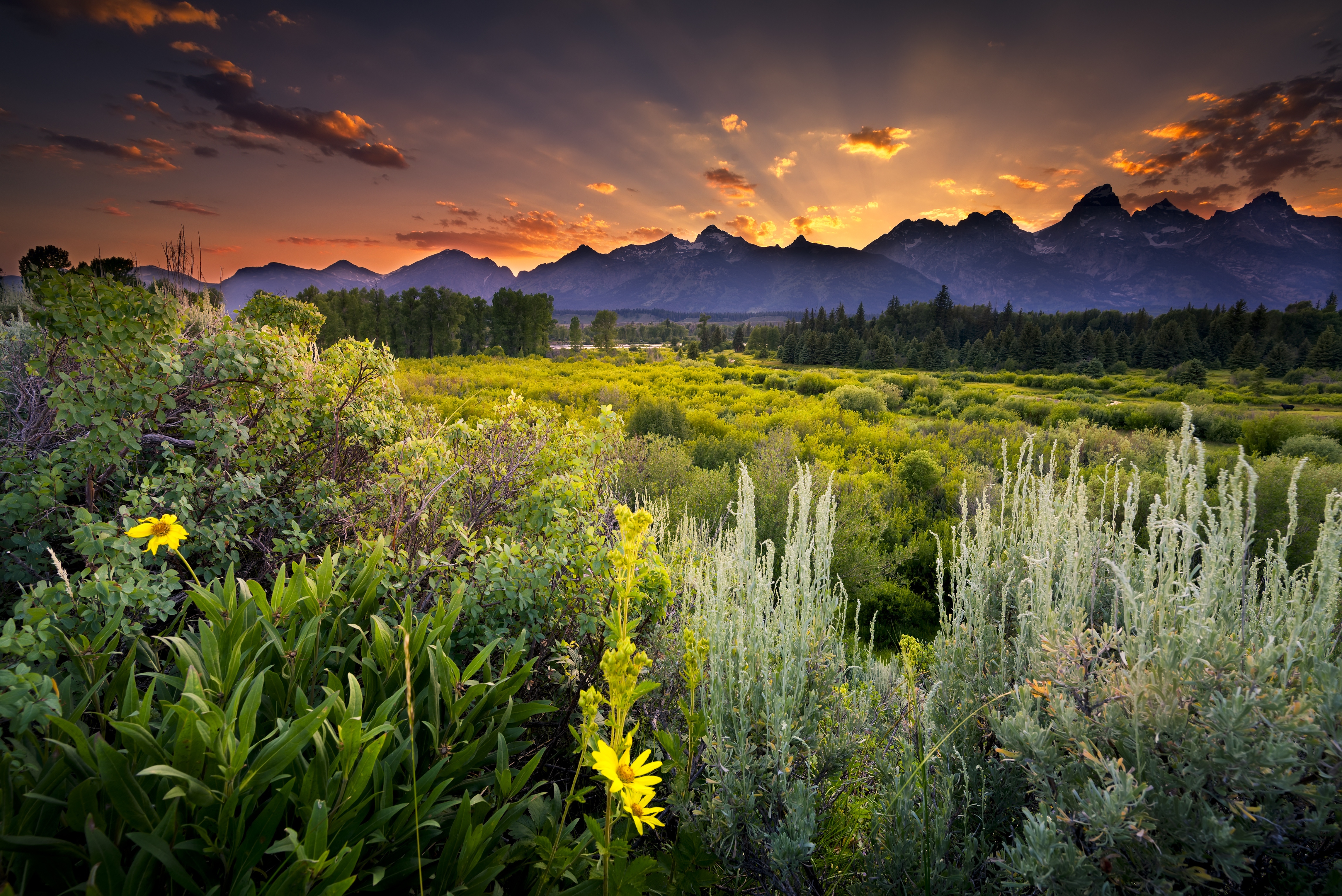 grand, Teton, National, Park, Sunset, Clouds, Evening, Mountains, Field
