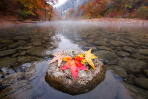 leaves, River, Rocks, Stones, Autumn