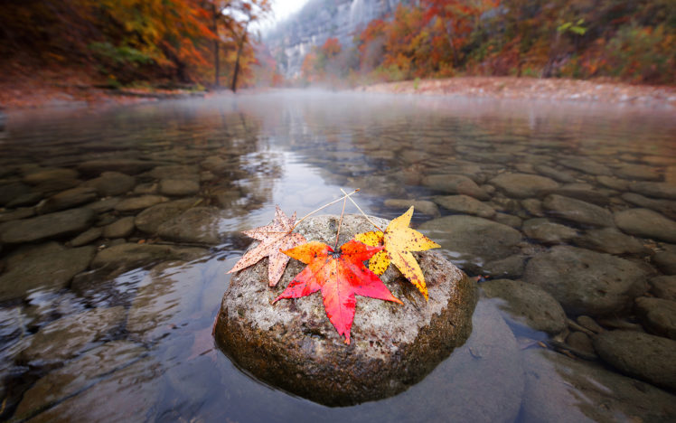 leaves, River, Rocks, Stones, Autumn HD Wallpaper Desktop Background
