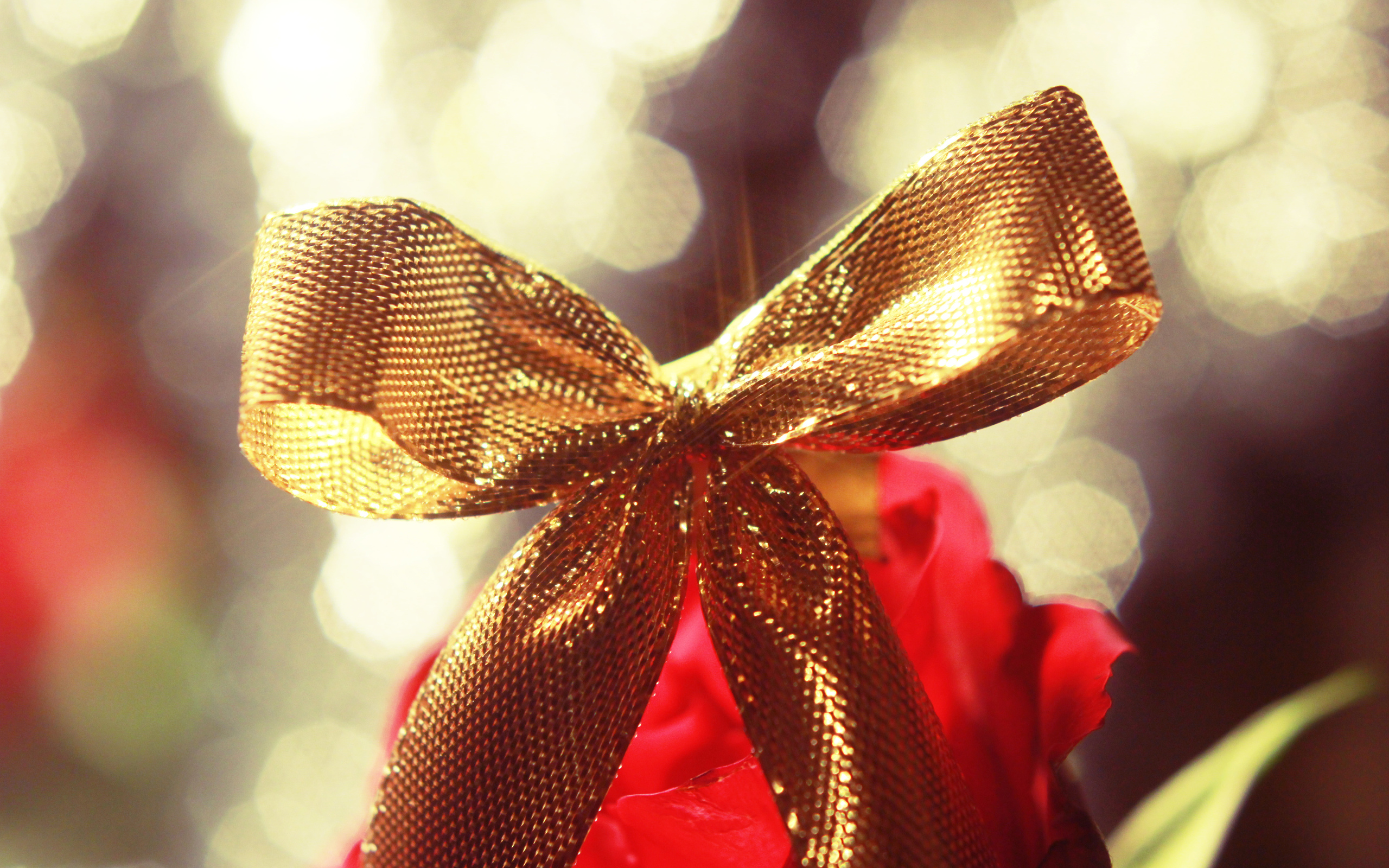 gift, Bow, Ribbon Wallpapers HD / Desktop and Mobile Backgrounds