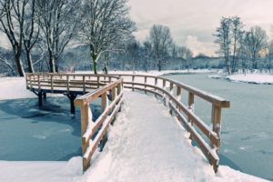 winter,  season , Snow, Trees, Bridges, Rivers