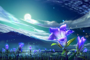 original, Animal, Clouds, Flowers, Grass, Kagaya, Landscape, Moon, Night, Nobody, Original, Scenic, Sky, Stars