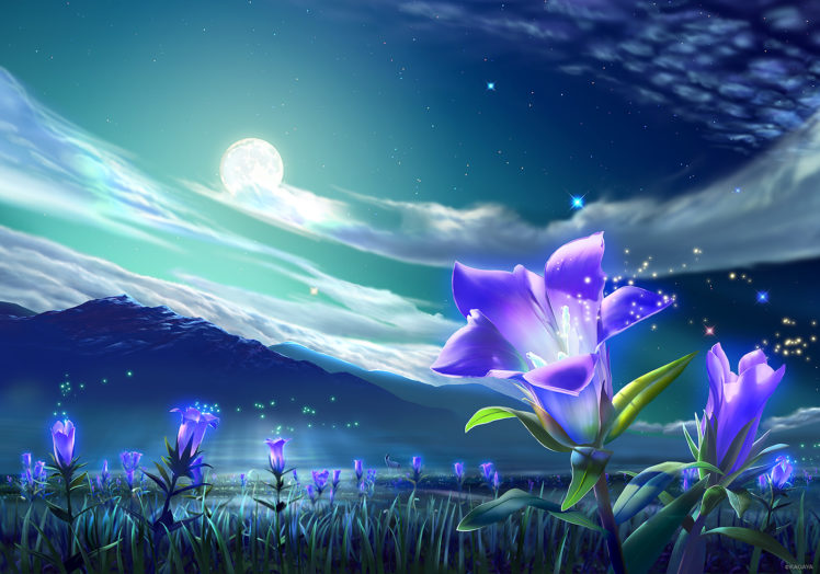 original, Animal, Clouds, Flowers, Grass, Kagaya, Landscape, Moon, Night, Nobody, Original, Scenic, Sky, Stars HD Wallpaper Desktop Background
