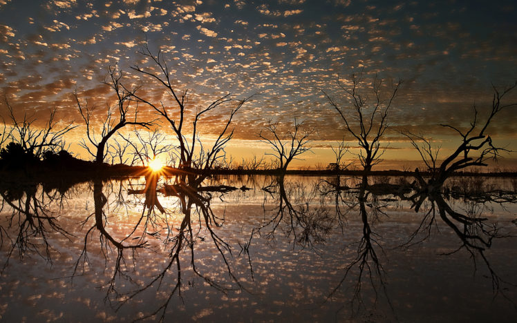 sunset, Sunlight, Landscape, Trees, Lake, Reflection HD Wallpaper Desktop Background
