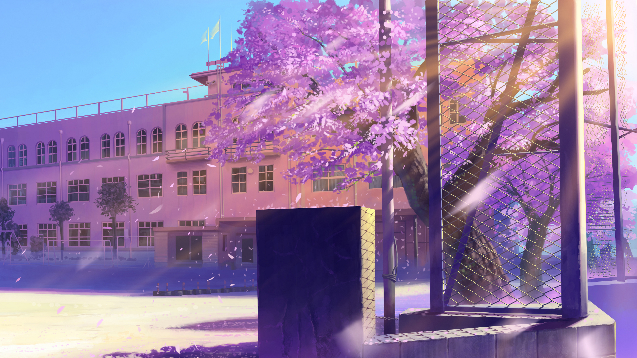 cherry, Blossoms, School, Scenic, Artwork Wallpaper