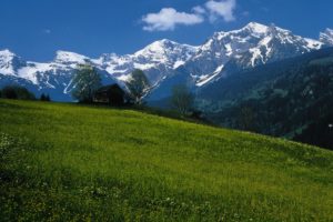 austria, Mountains, House, Landscape
