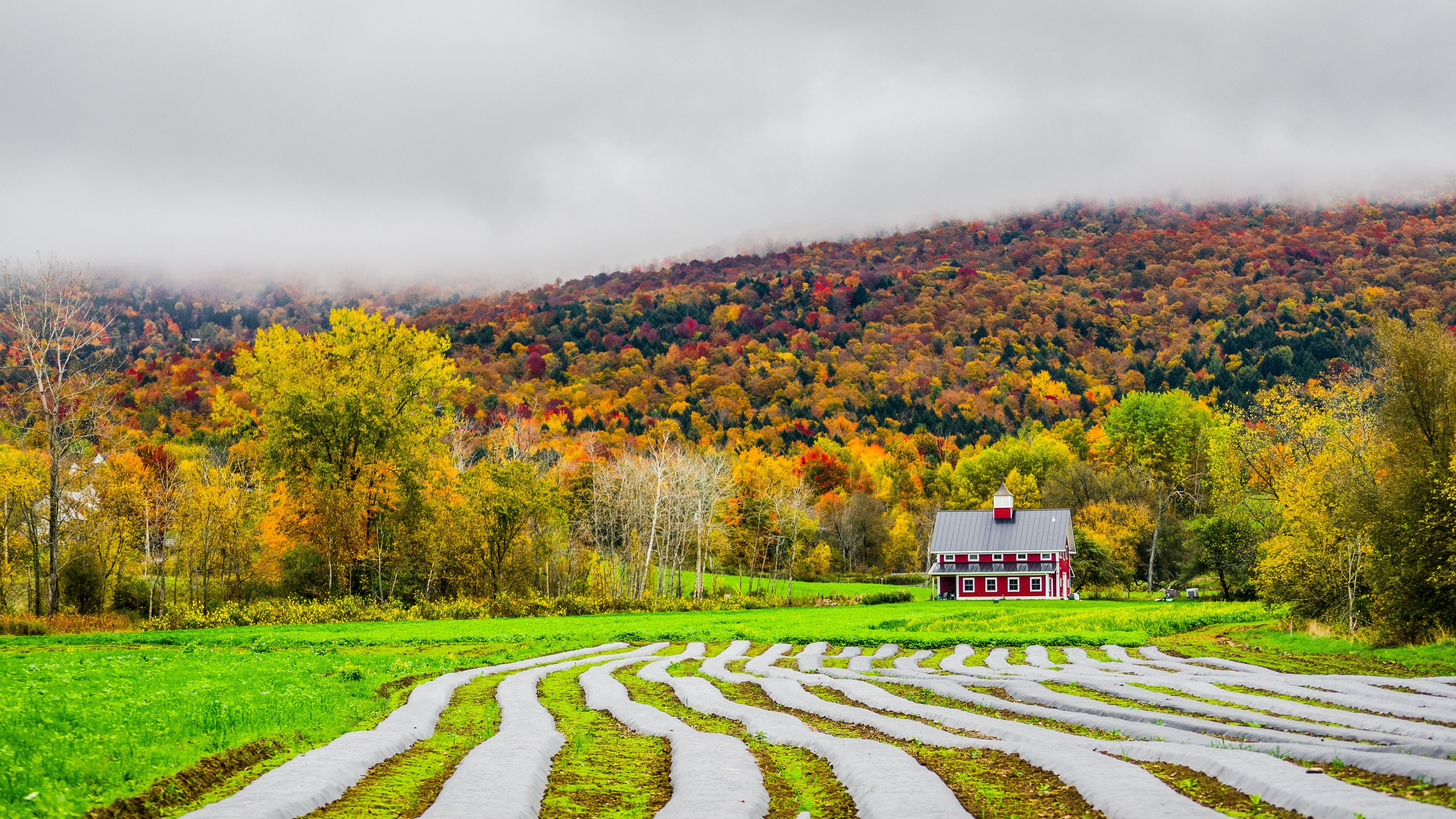 autumn, Field, House, Trees, Fog, Landscape Wallpaper