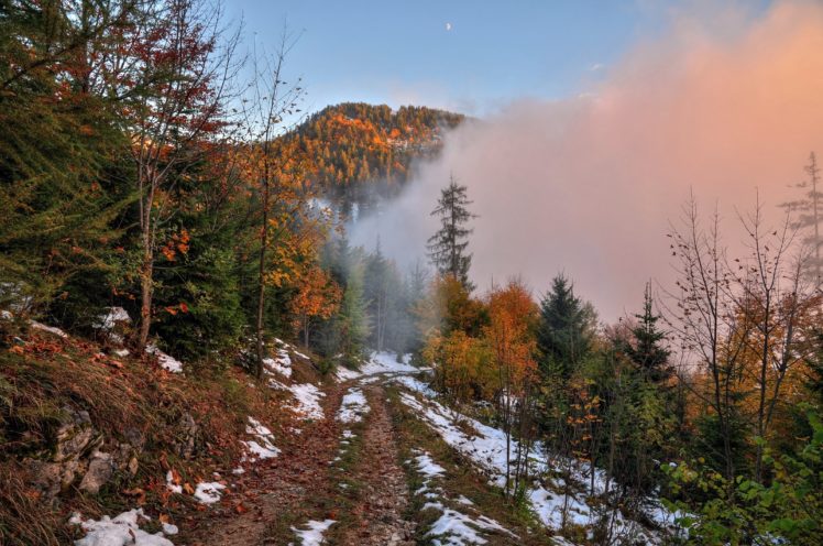 autumn, Road, Trees, Landscape, Snow HD Wallpaper Desktop Background
