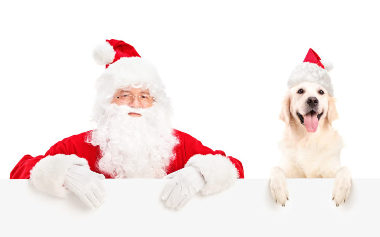 christmas, New, Year, Holiday, Santa HD Wallpaper Desktop Background