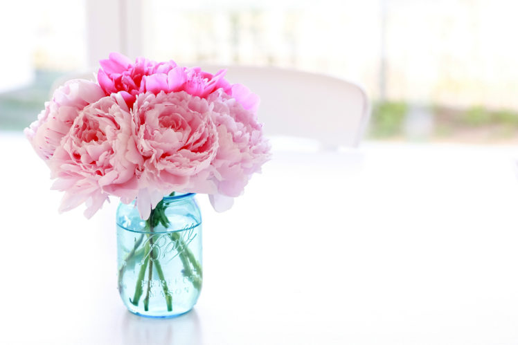 peonies, Jar, Pink, Color, Flowers, Bouquet, Bokeh HD Wallpaper Desktop Background
