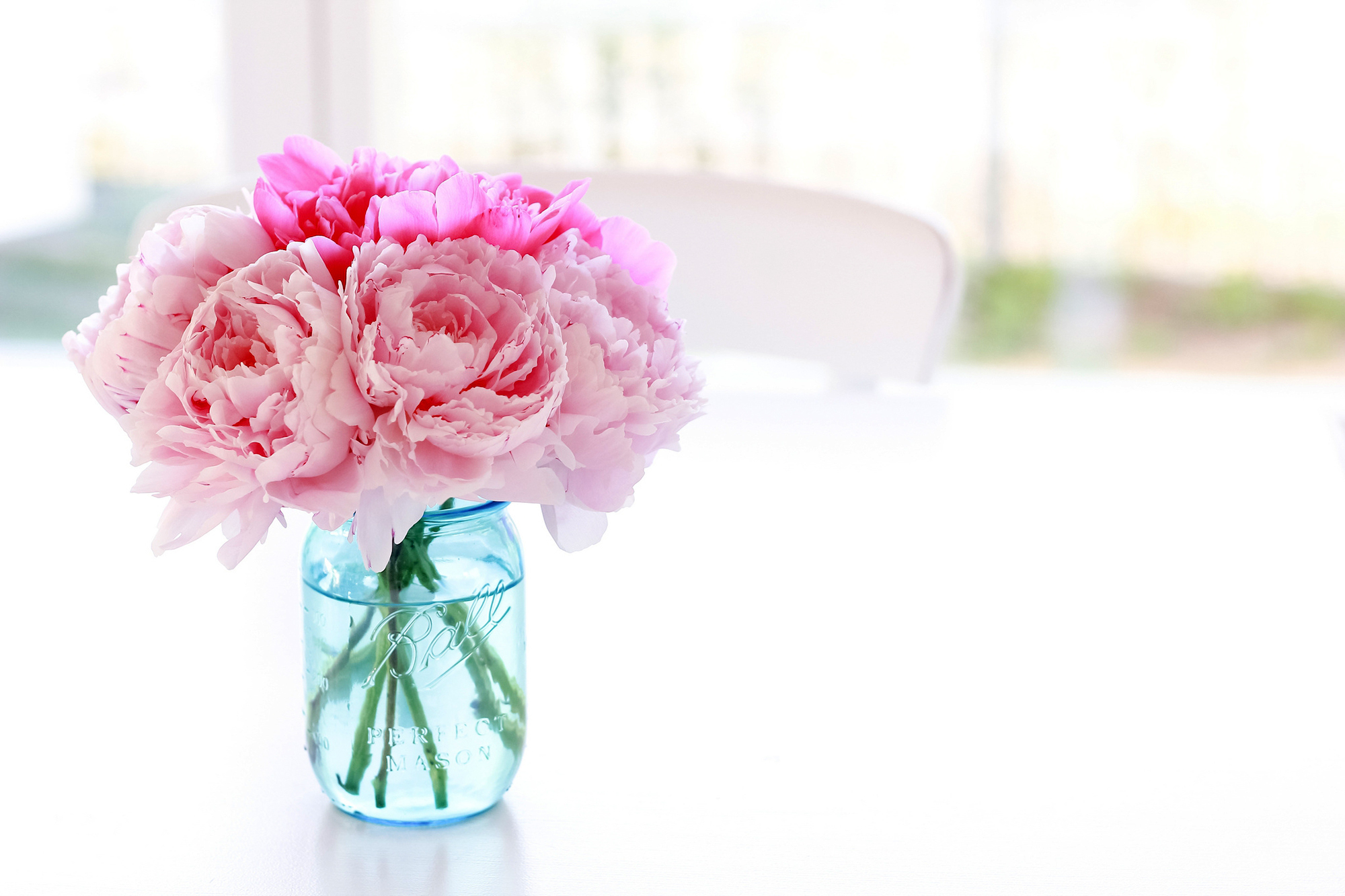 peonies, Jar, Pink, Color, Flowers, Bouquet, Bokeh Wallpaper
