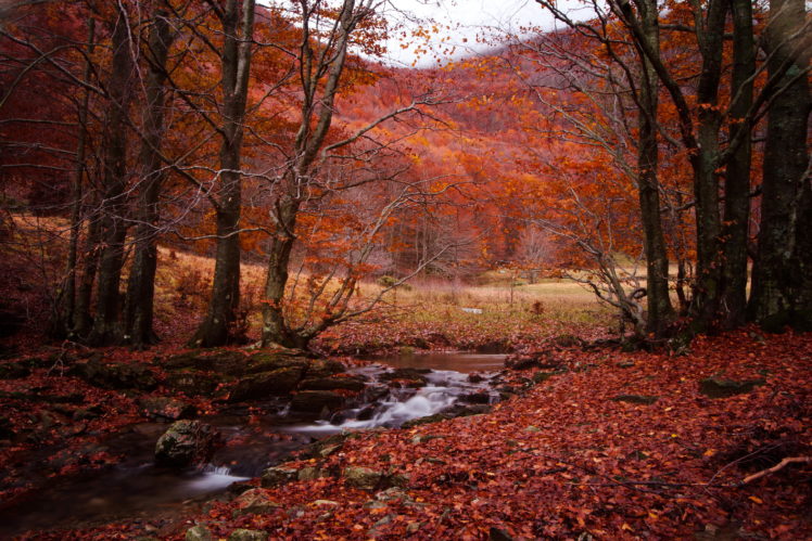 seasons, Autumn, Stream, Nature HD Wallpaper Desktop Background