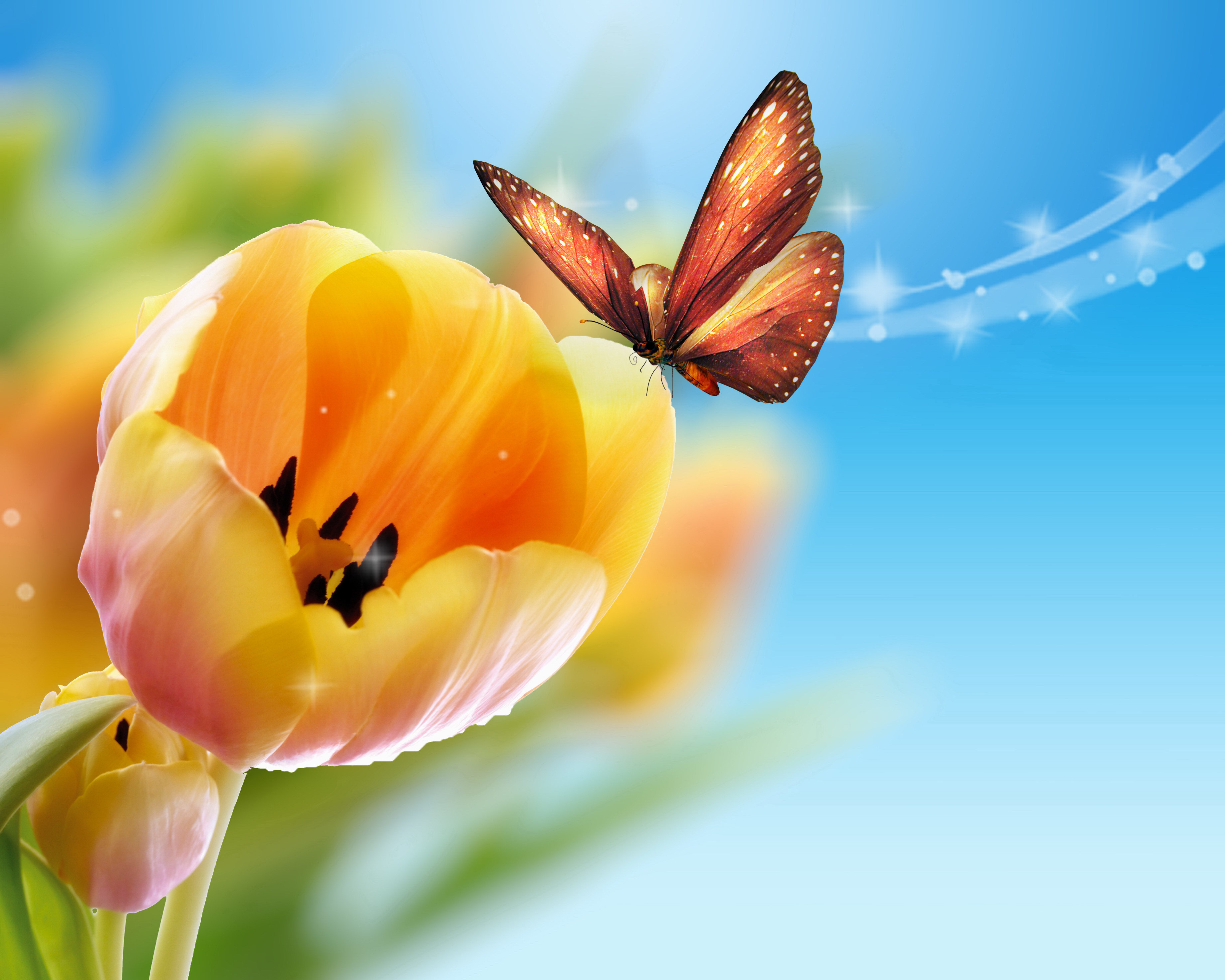 tulips, Butterflies, Flowers, Bokeh Wallpaper