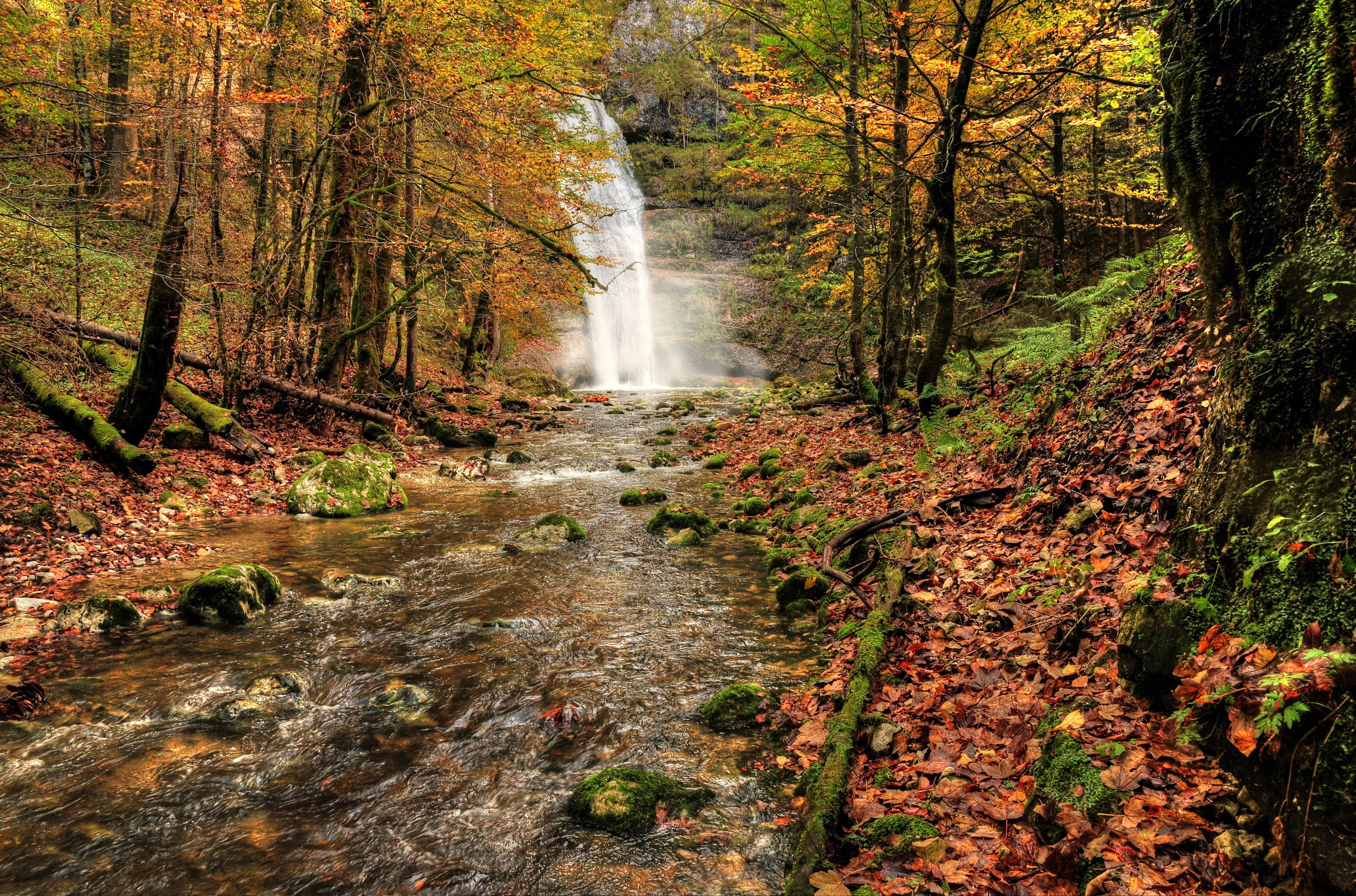 waterfall, River, Fall, Forest, Trees, Nature, Autumn Wallpaper