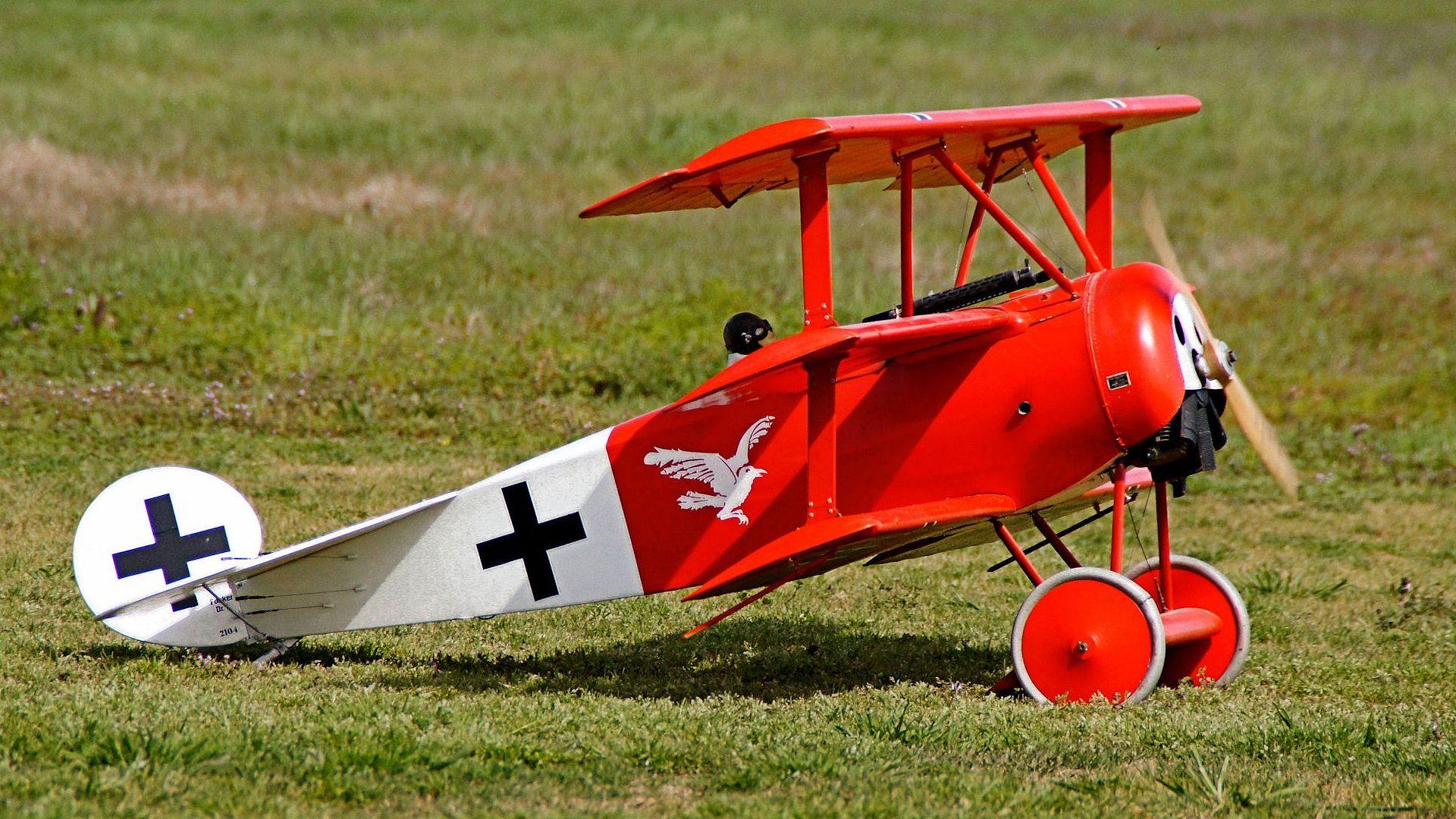 radio, Controlled, Airplane, Aircraft, Plane, Toy, Model, Military Wallpaper