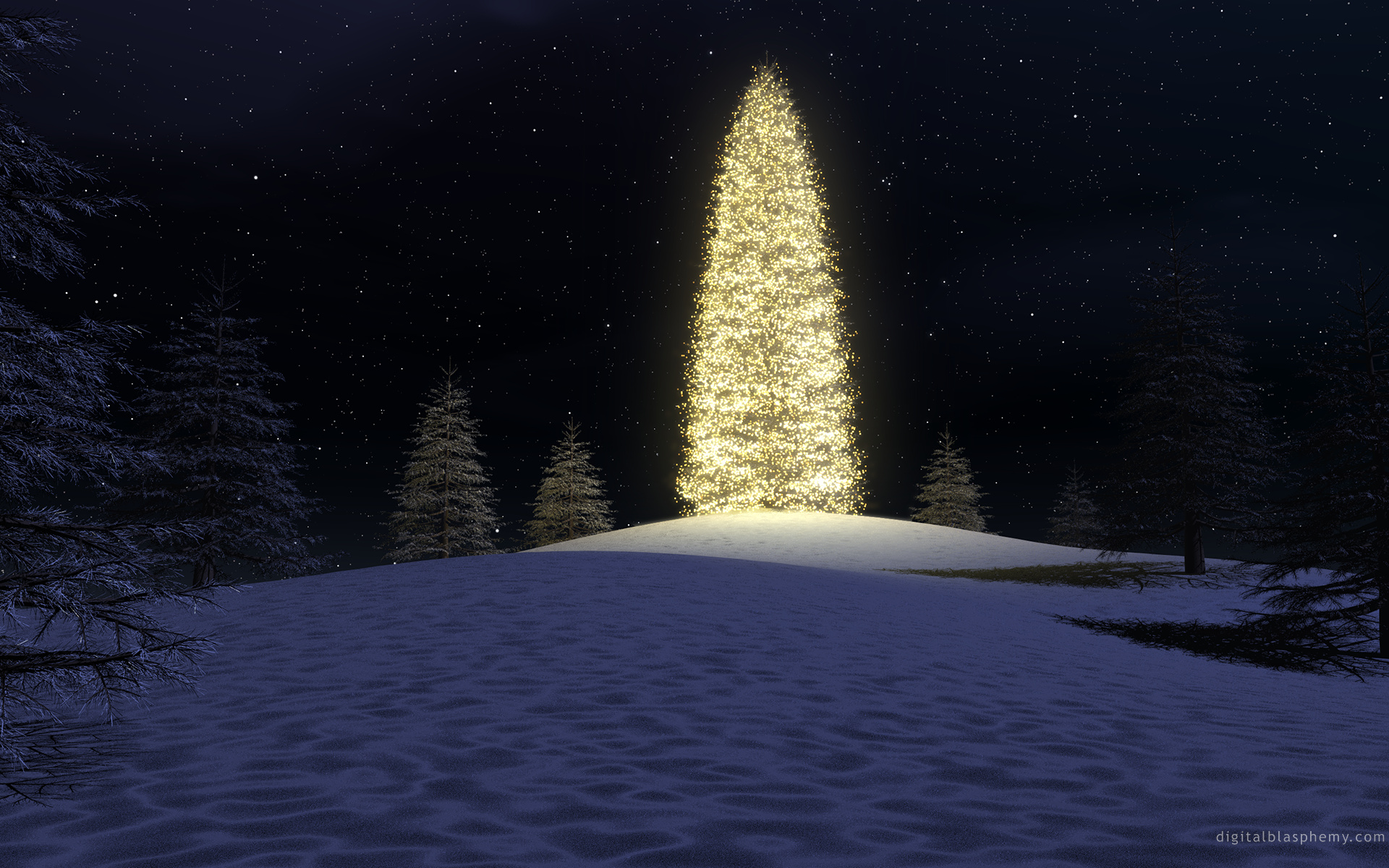 christmas, Trees Wallpaper