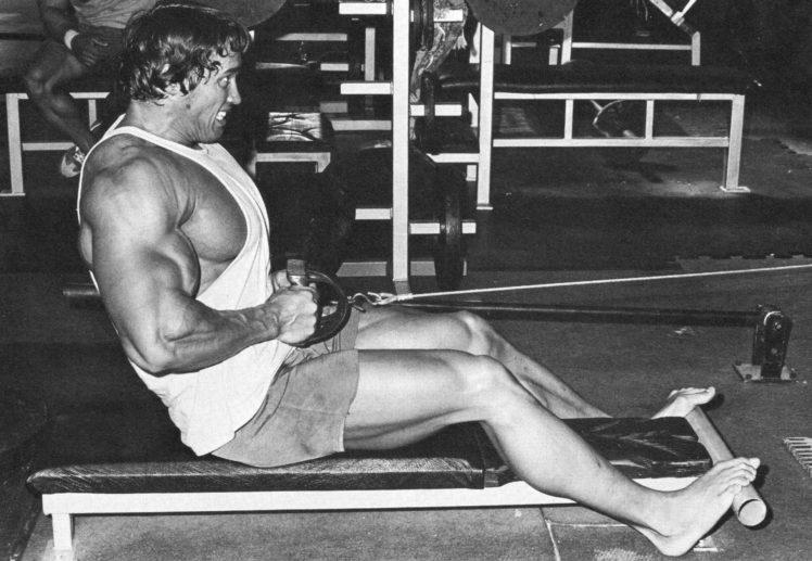 arnold, Schwarzenegger, Bodybuilding, Fitness HD Wallpaper Desktop Background