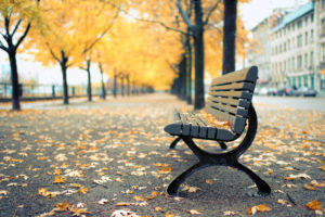 autumn, Avenue, Bench, Nature, Cities