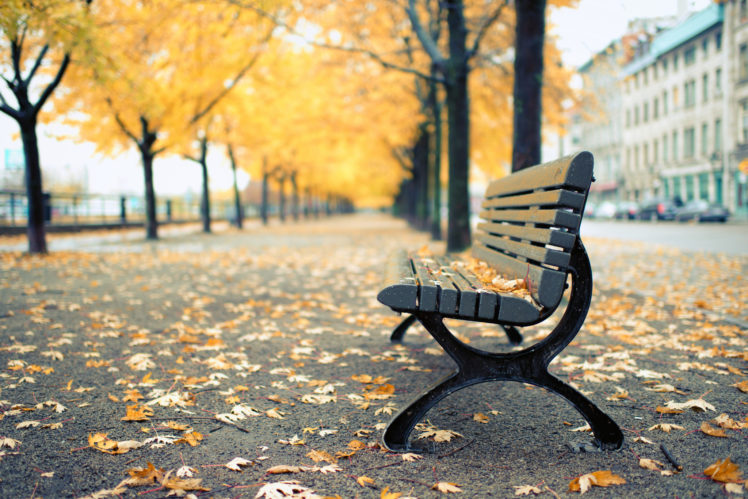 autumn, Avenue, Bench, Nature, Cities HD Wallpaper Desktop Background