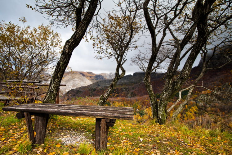 bench, Autumn, Trees, Leaves HD Wallpaper Desktop Background