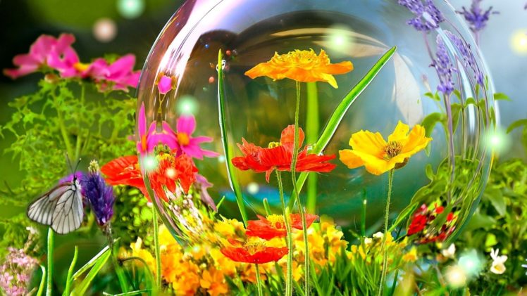 bokeh, Globe, Mood, Flowers, Butterly, Bubbles HD Wallpaper Desktop Background