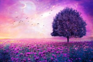 field, Tree, 3d, Art, Stars, Bokeh, Sky, Flowers