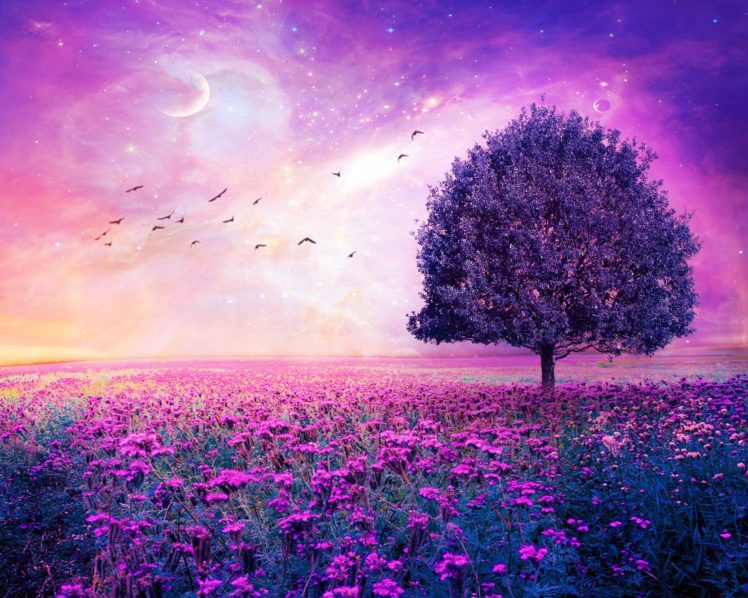 field, Tree, 3d, Art, Stars, Bokeh, Sky, Flowers HD Wallpaper Desktop Background