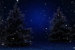 trees, Nature, Winter, Snow, Stars, Sky, Bokeh