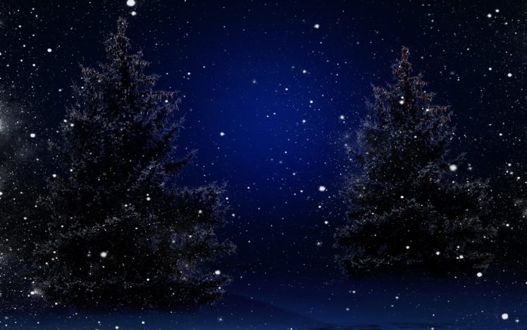 trees, Nature, Winter, Snow, Stars, Sky, Bokeh HD Wallpaper Desktop Background
