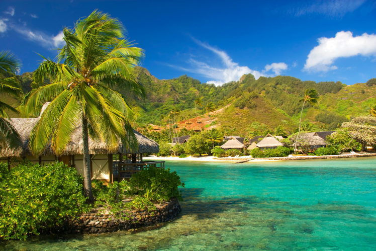 tropics, French, Polynesia, Sea, Moorea, Palma HD Wallpaper Desktop Background