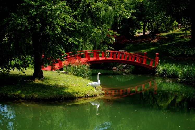 garden, Swan, River, Bridge, Asian, Mood, Jpg HD Wallpaper Desktop Background