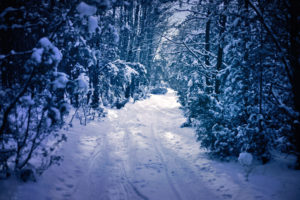 winter, Snow, Forest, Trees, Road