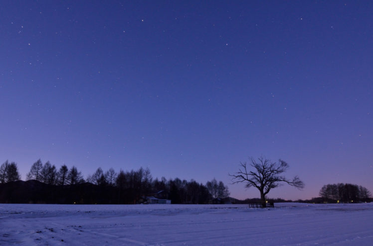 japan, Winter, Field, Trees, Snow, Night, Lilac, Sky, Stars HD Wallpaper Desktop Background