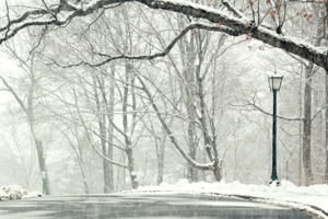 winter, Snow, Road, Trees, Landscape