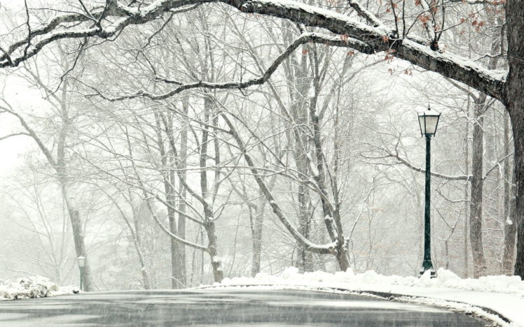 winter, Snow, Road, Trees, Landscape HD Wallpaper Desktop Background
