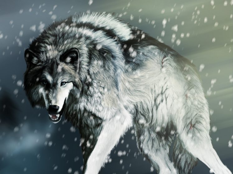 artwork, Wolves HD Wallpaper Desktop Background