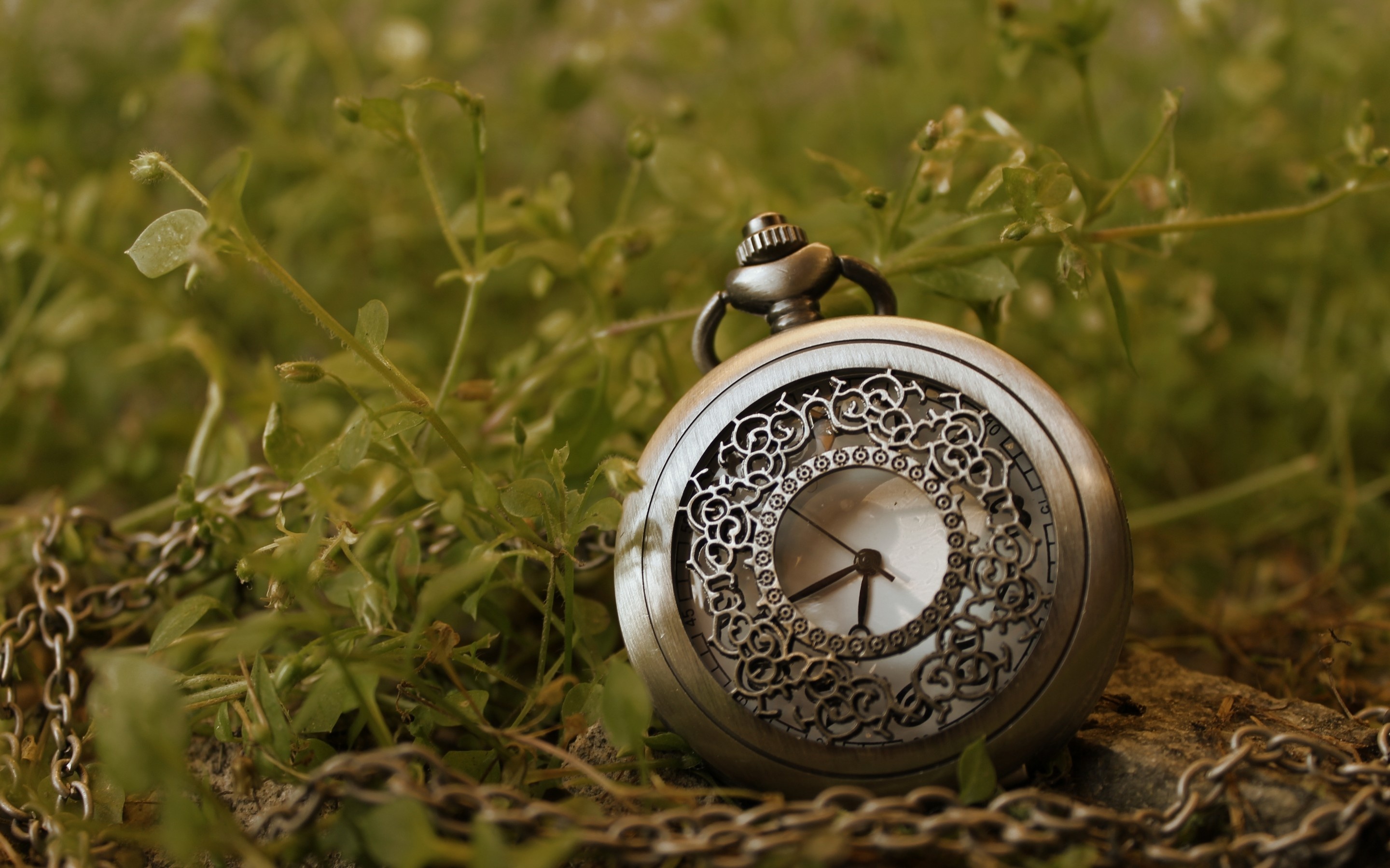 clock, Retro, Chain, Grass, Watch, Time, Bokeh Wallpaper