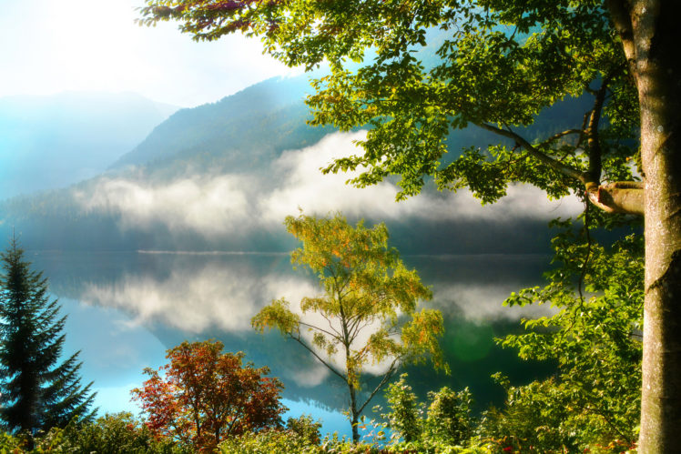 forest, Morning, Trees, Mountains, Fog, Autumn, Reflection HD Wallpaper Desktop Background