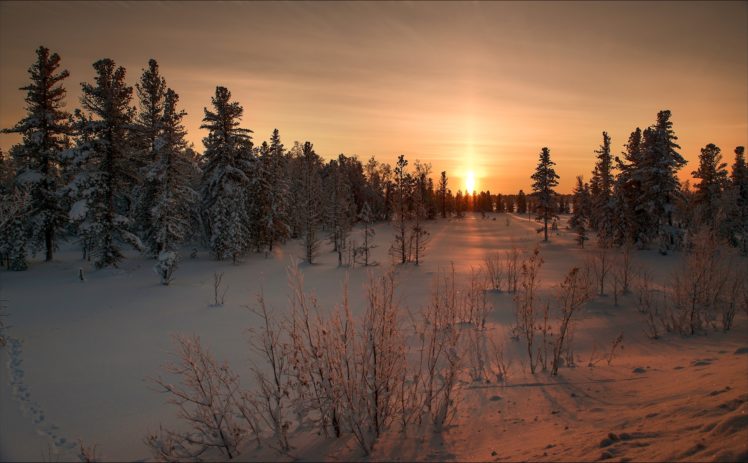 nature, Landscape, Winter, Snow, Sunrise, Eating, Beauty HD Wallpaper Desktop Background