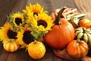 flowers, Fruits, Harvest, Sunflowers, Pumpkins, Squash, Cloth