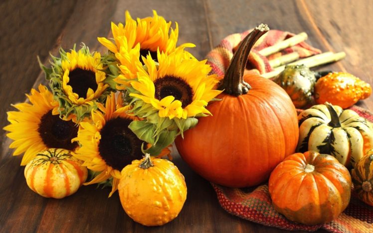 flowers, Fruits, Harvest, Sunflowers, Pumpkins, Squash, Cloth HD Wallpaper Desktop Background