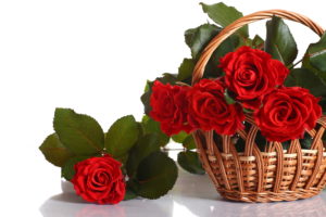roses, Red, Wicker, Basket, Flowers