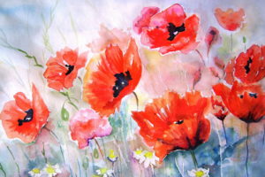 poppies, Flower, Art, Painting, Bokeh