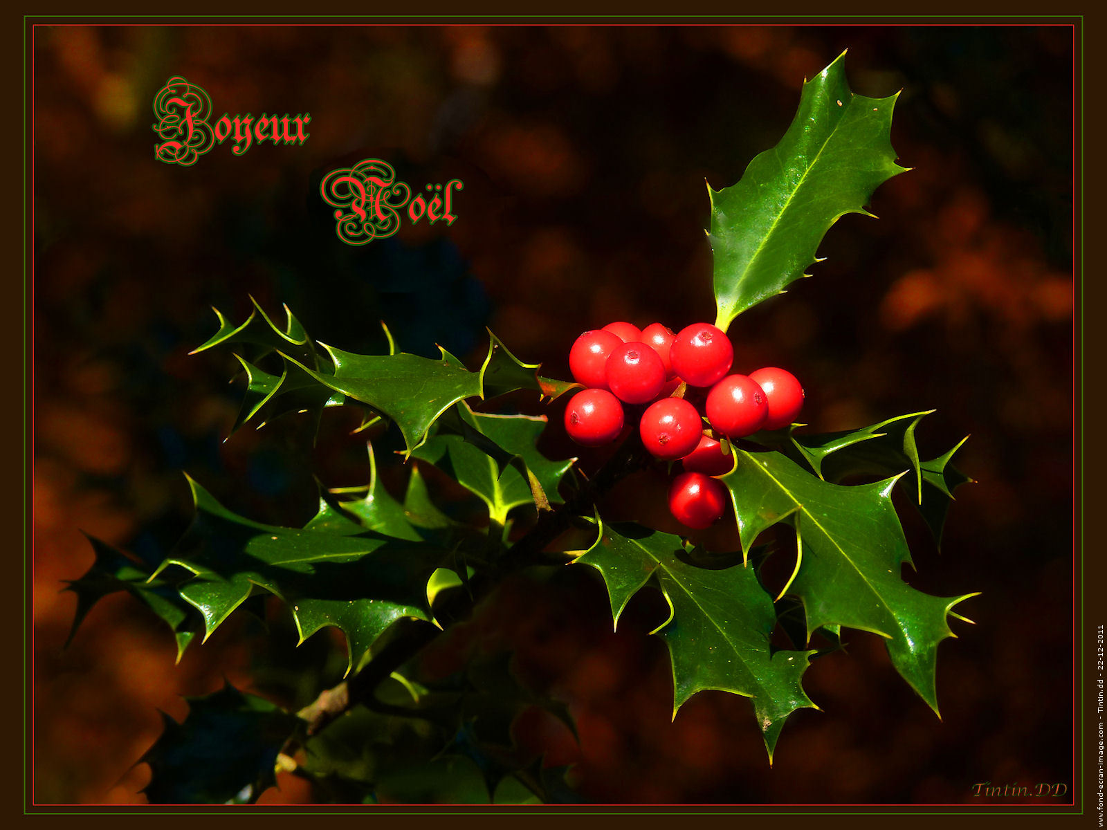 joyeux, Noel Wallpaper