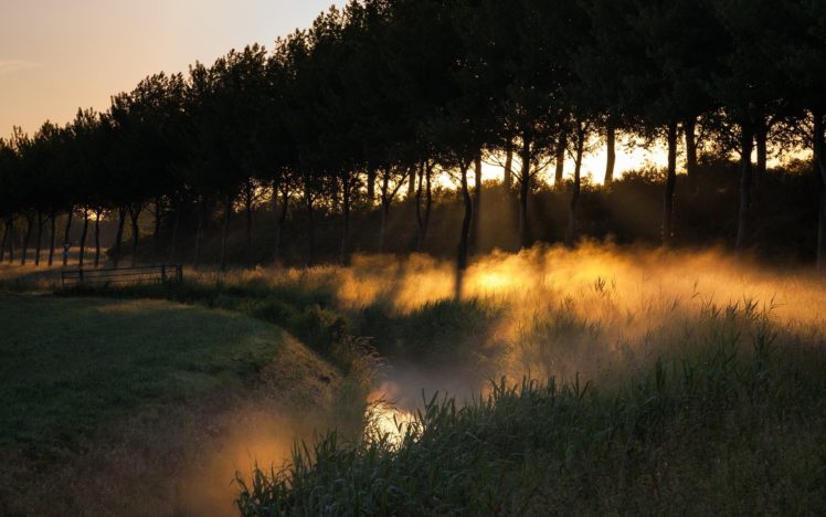 light, Sunset, Landscapes, Nature, Sun, Trees, Grass, Fields, Fog HD Wallpaper Desktop Background