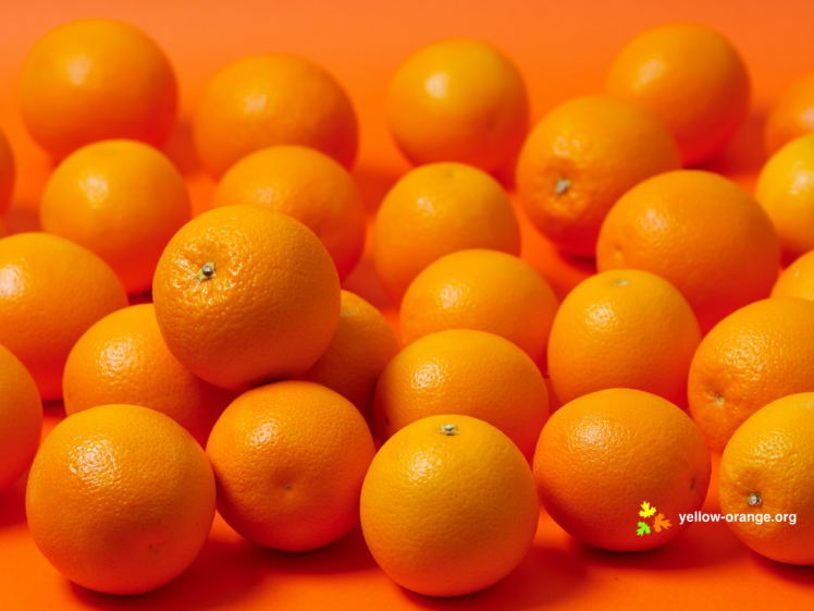 oranges HD Wallpaper Desktop Background