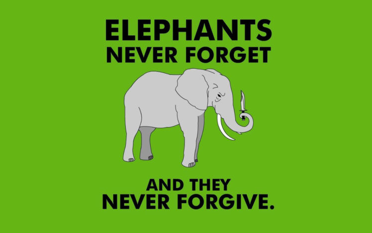 funny, Elephants HD Wallpaper Desktop Background